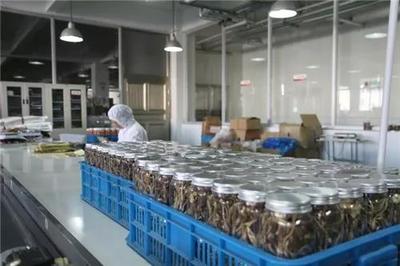2017年中国食用菌加工行业运行报告